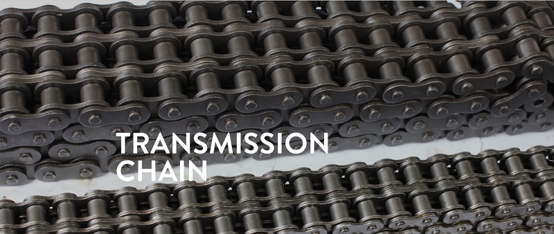 Transmission Chain01.jpg